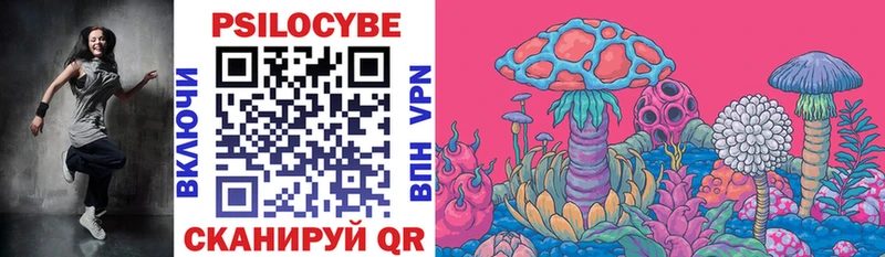 Галлюциногенные грибы Psilocybe  Учалы 